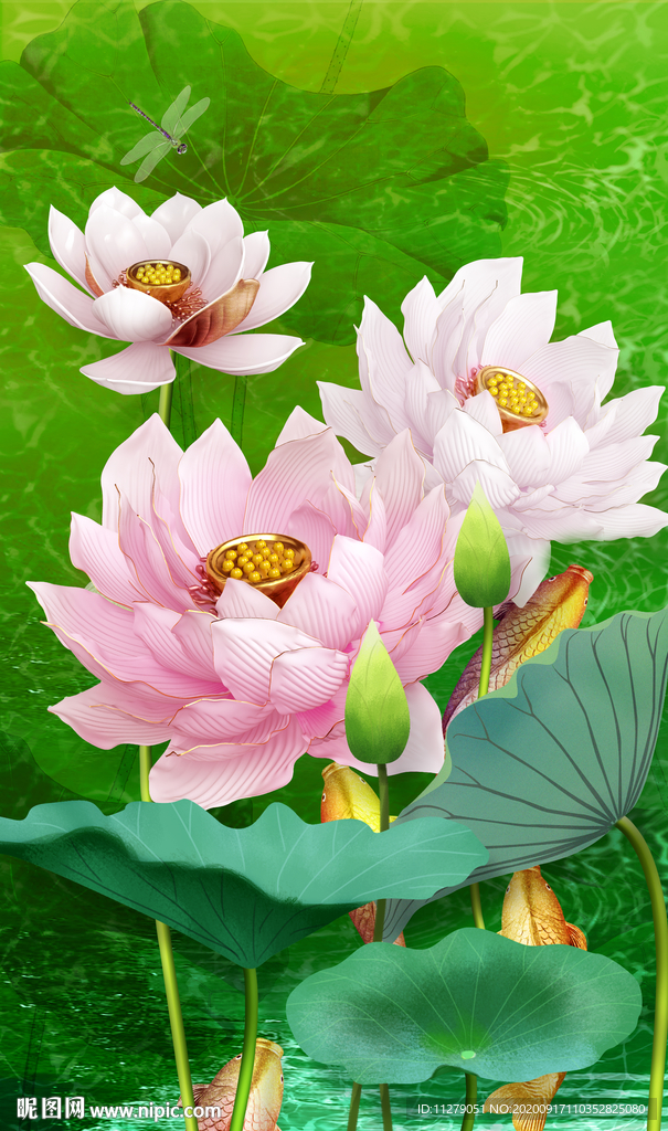 荷花富贵有余