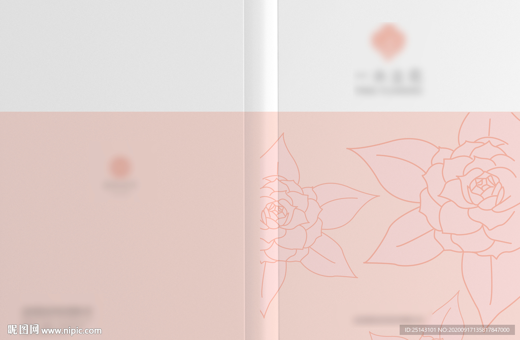 面膜画册