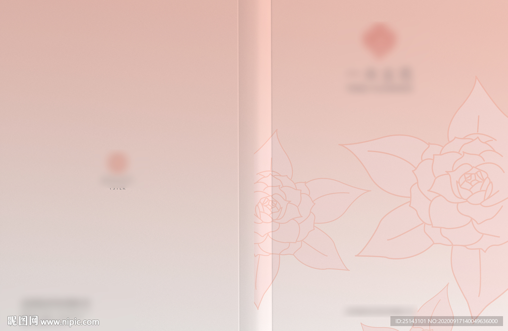 面膜画册