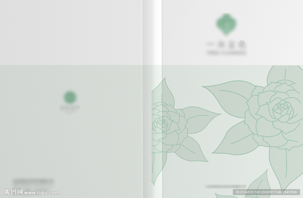 面膜画册