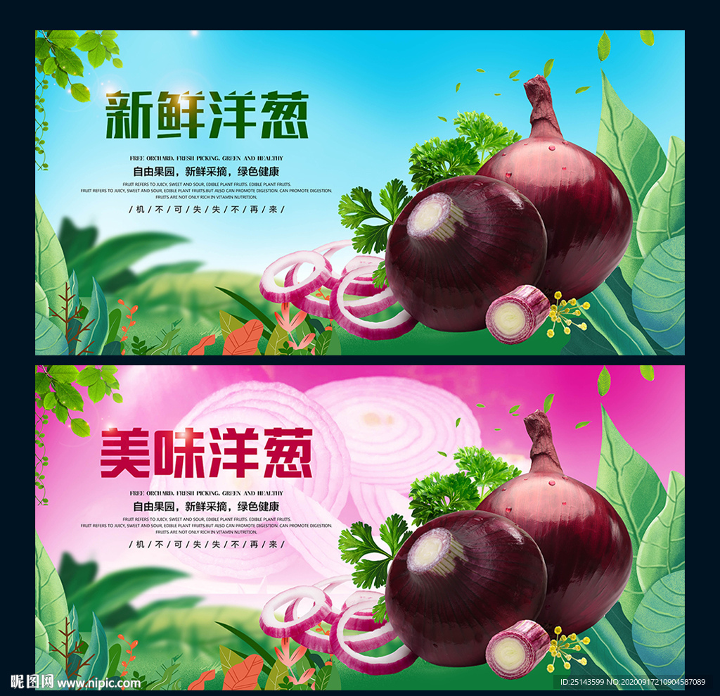 洋葱