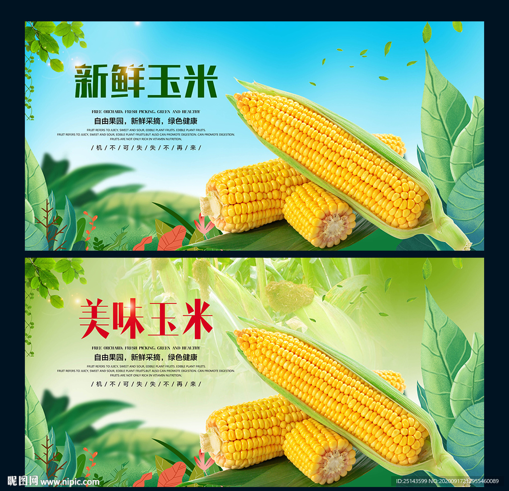 玉米