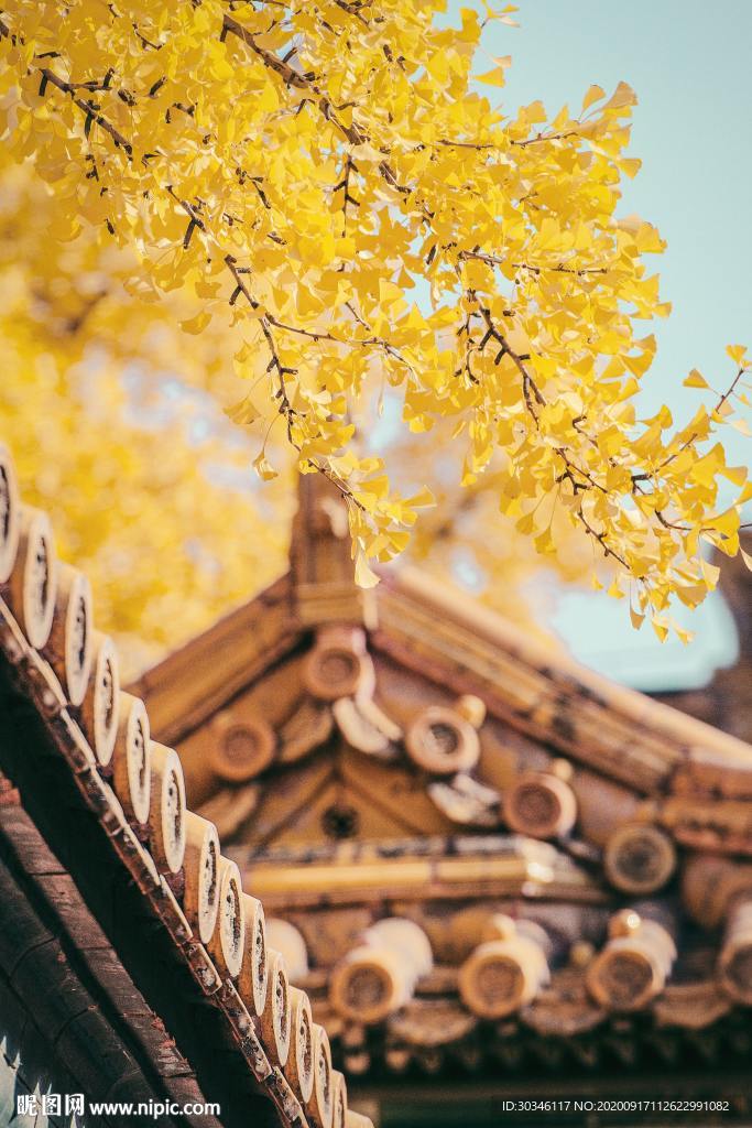 背景图