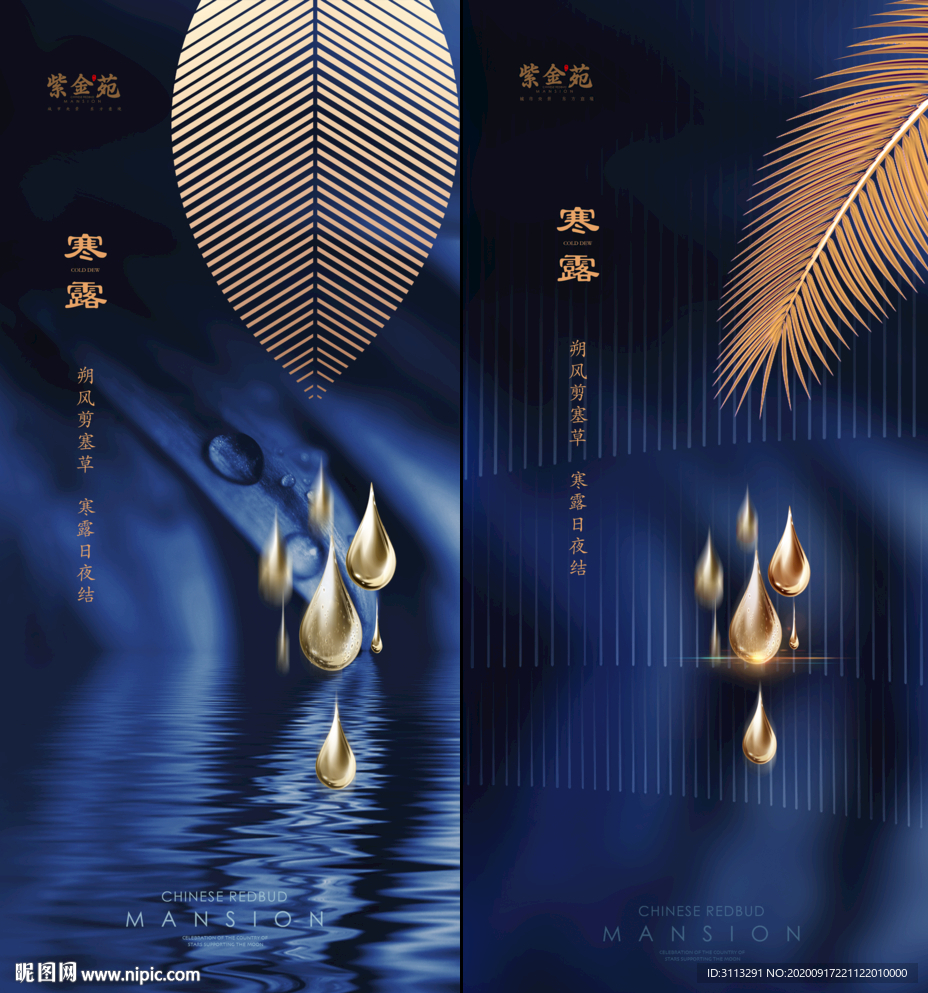 寒露节气系列海报