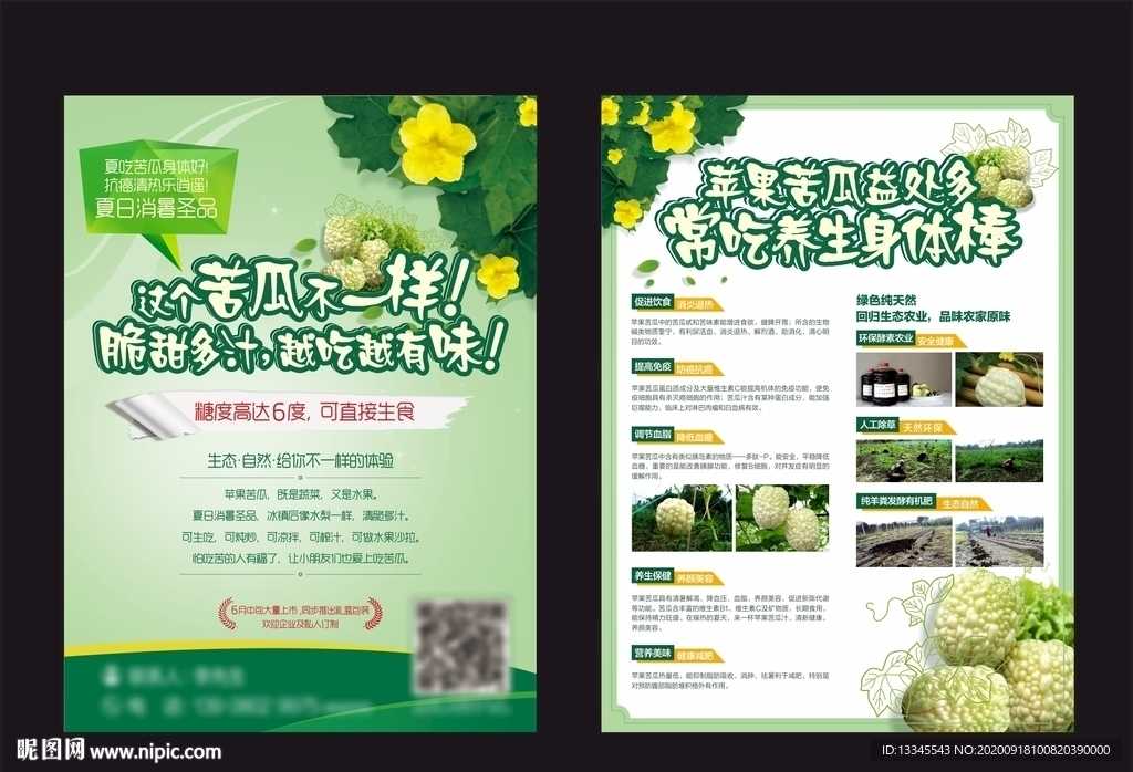 苹果苦瓜海报DM