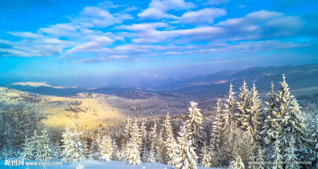 白雪皑皑的丛林山的风景