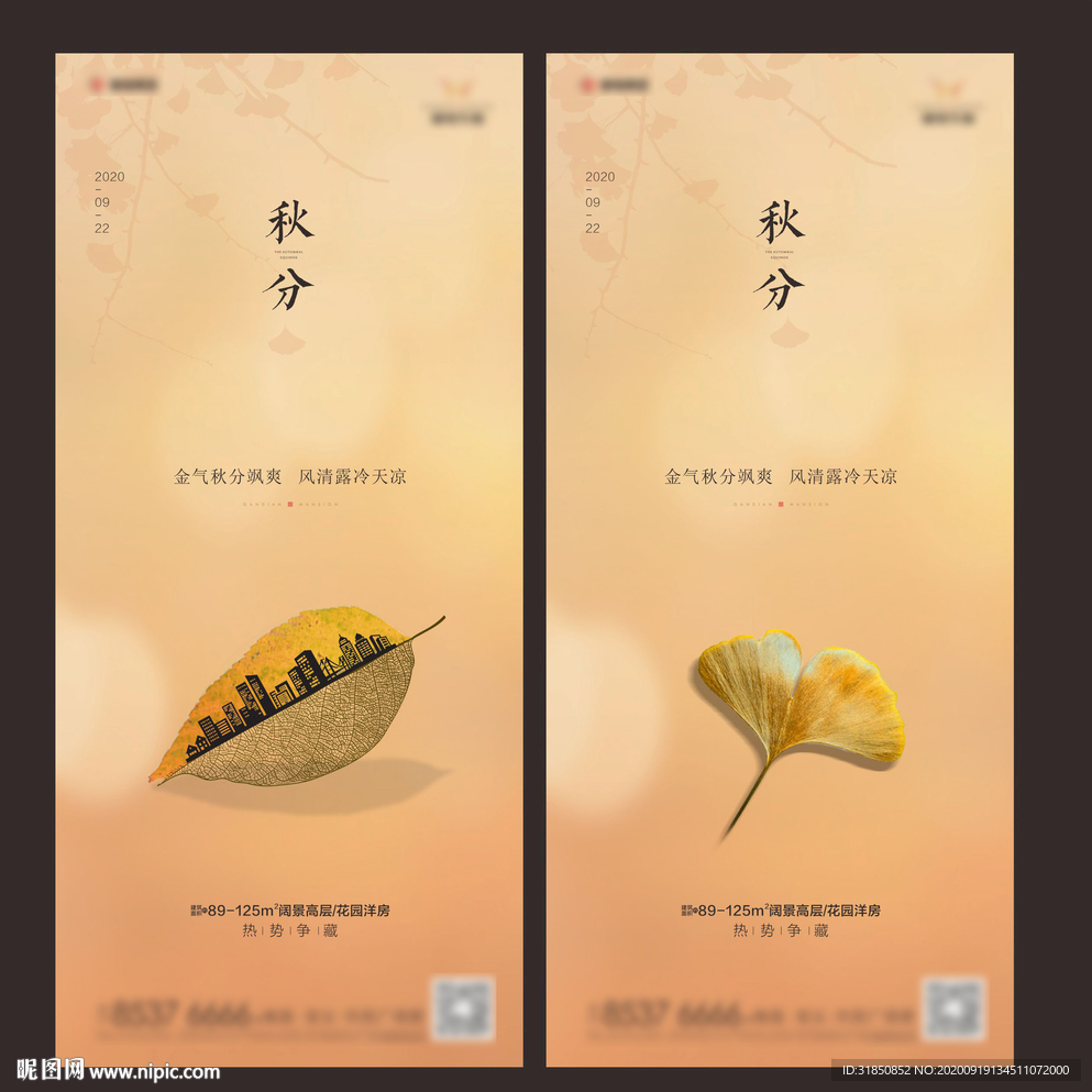 秋分