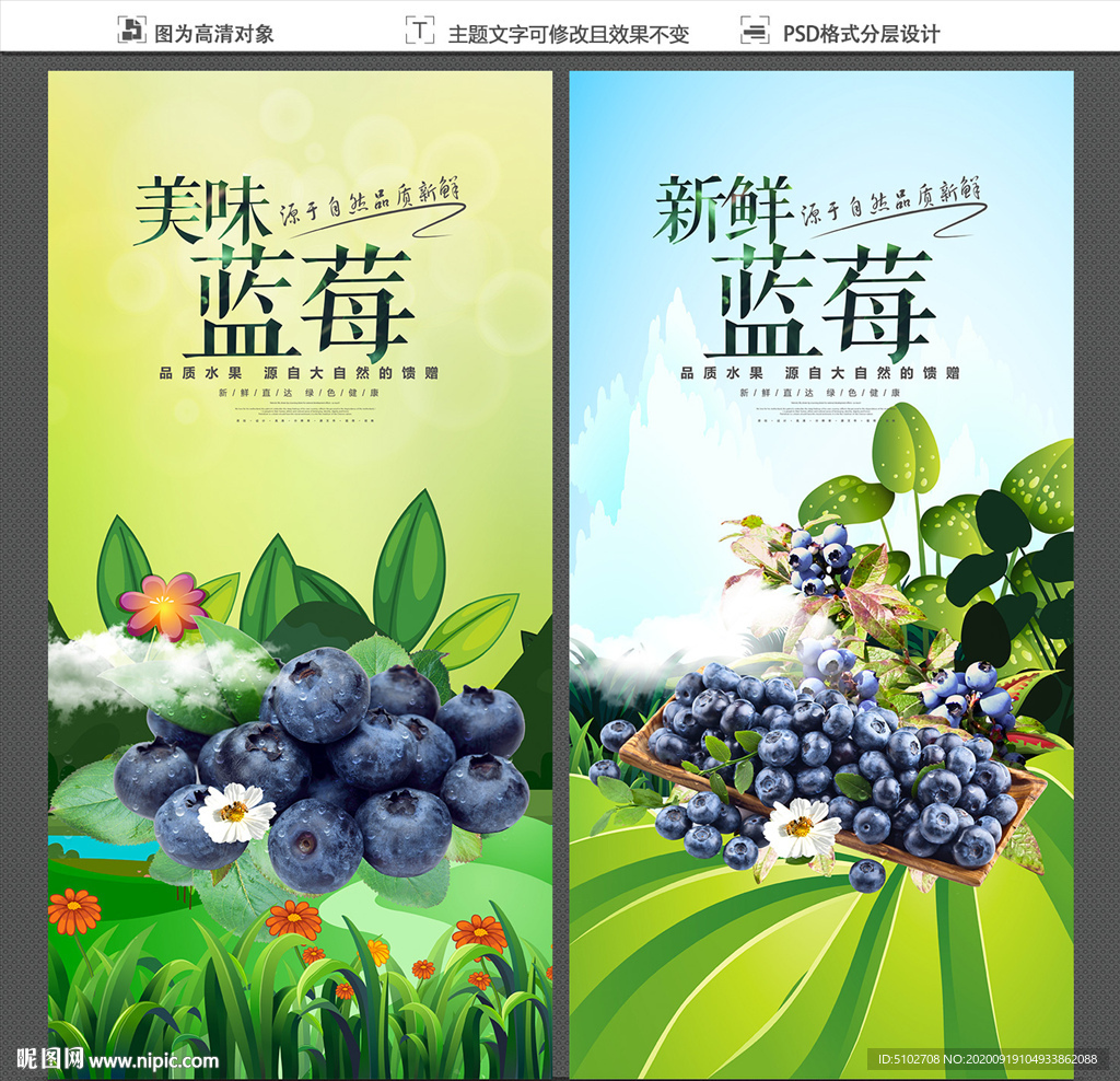 蓝莓