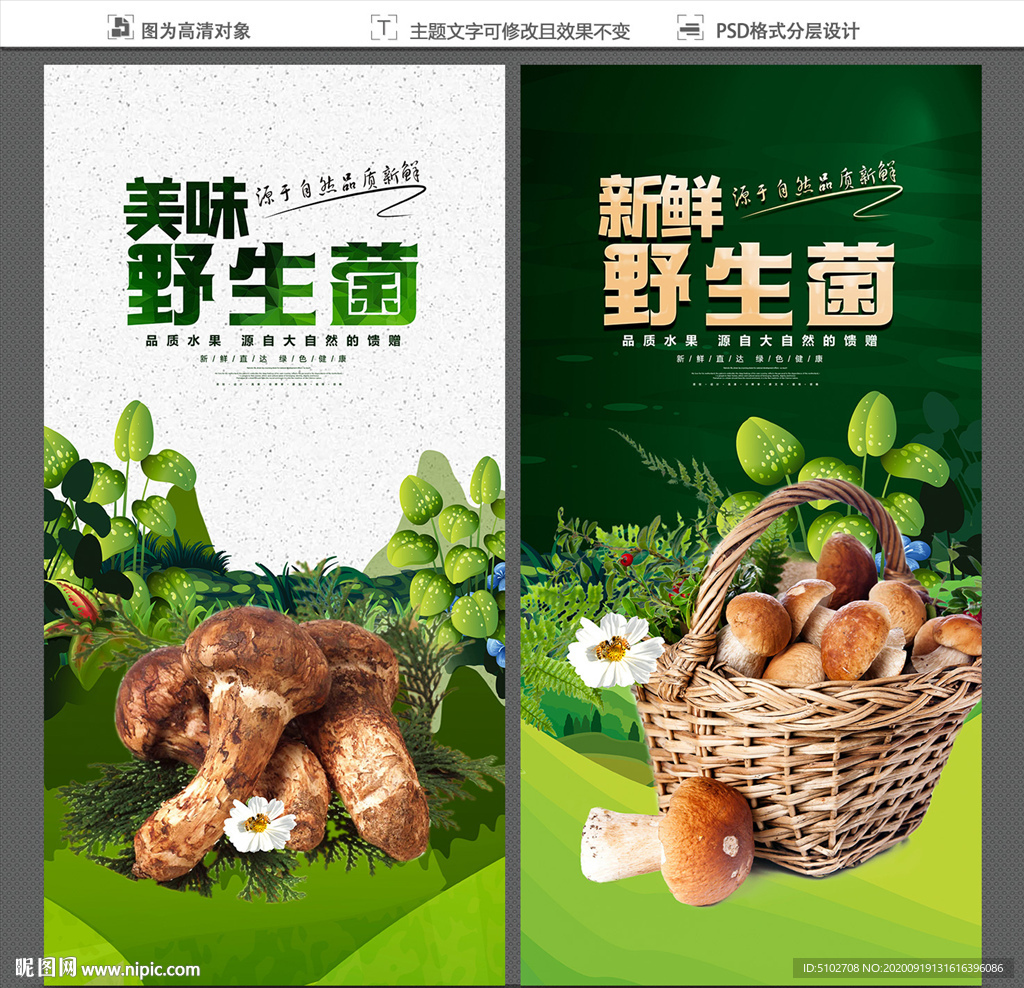 野生菌