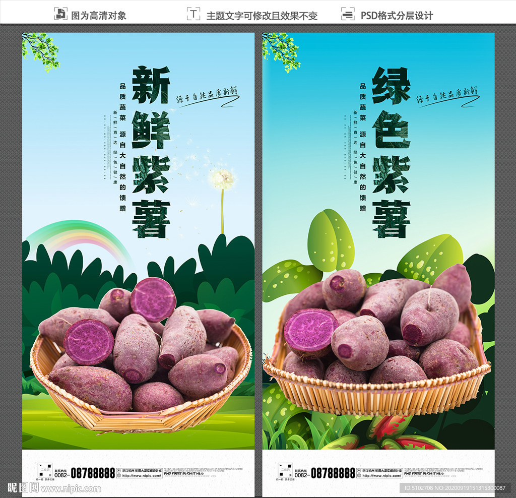 紫薯