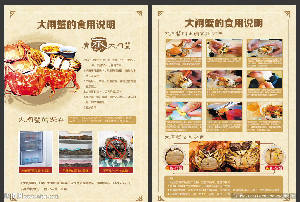 大闸蟹食用说明
