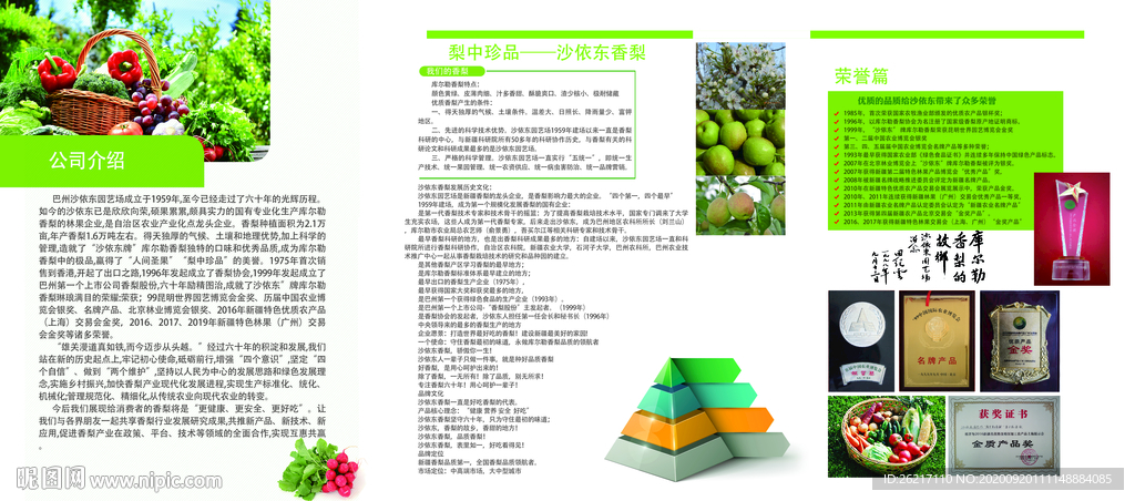 香梨沙依东折页绿色