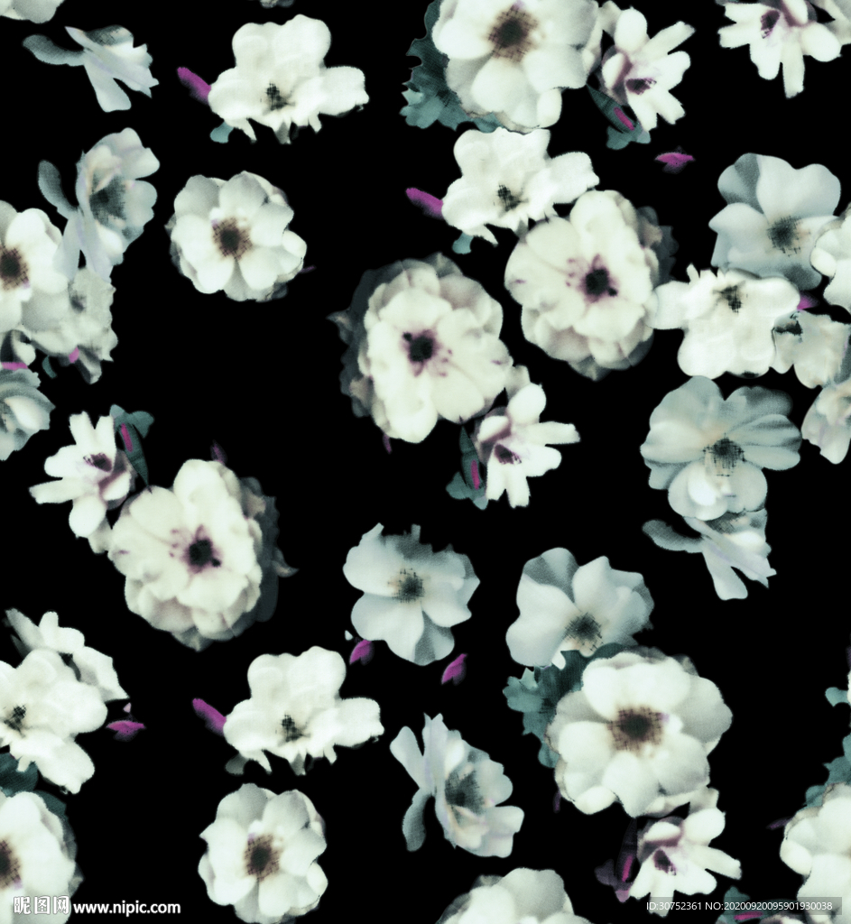玫瑰花