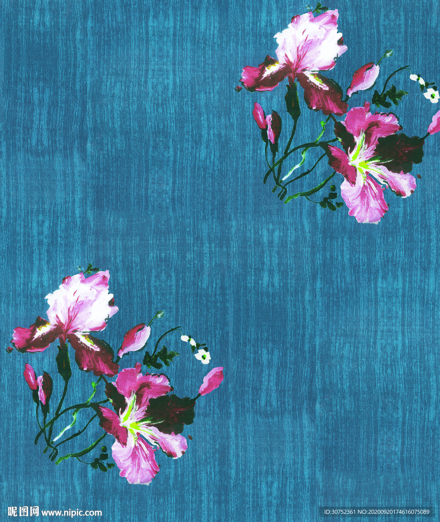 玫瑰花