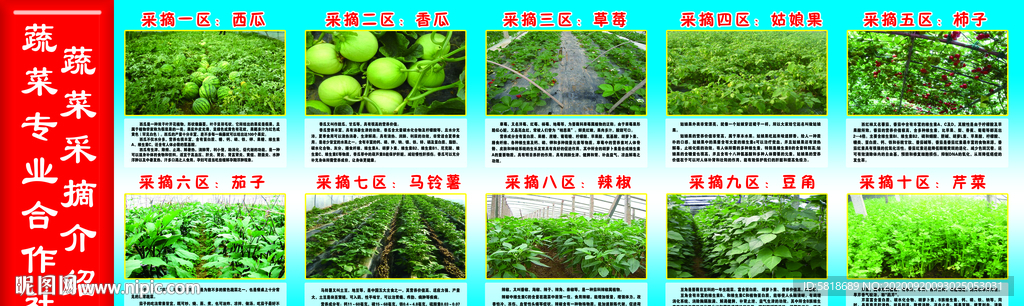 采摘园简介