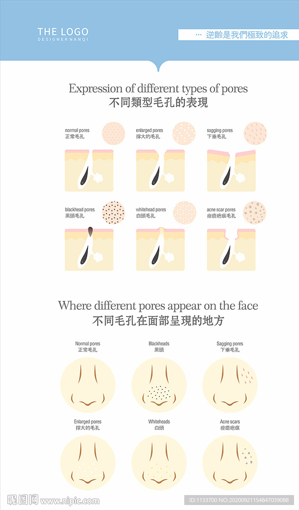 毛孔类型