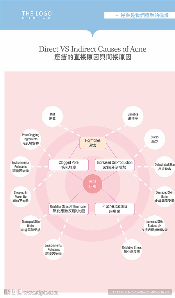 痤疮的形成