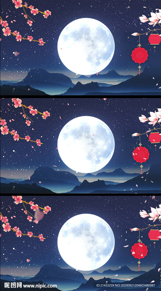 花下赏月中秋节视频背景