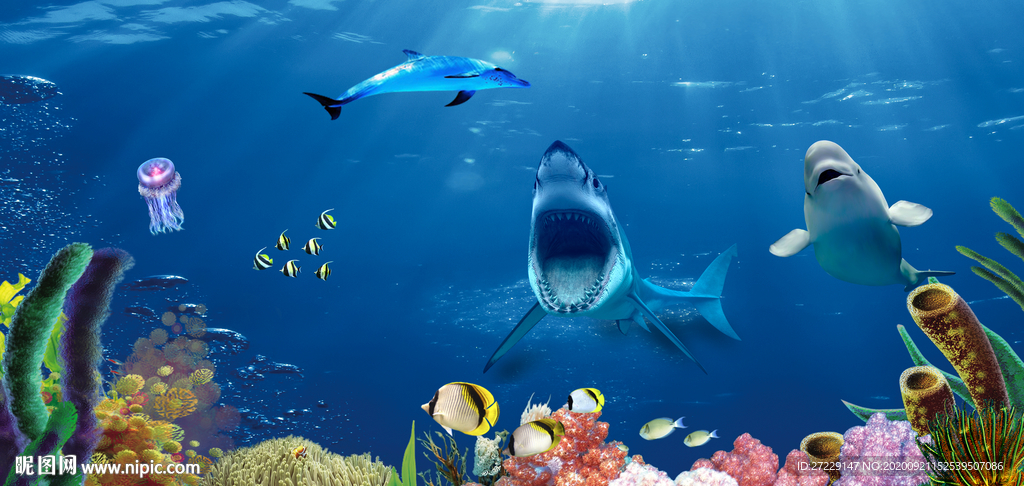 海底生物