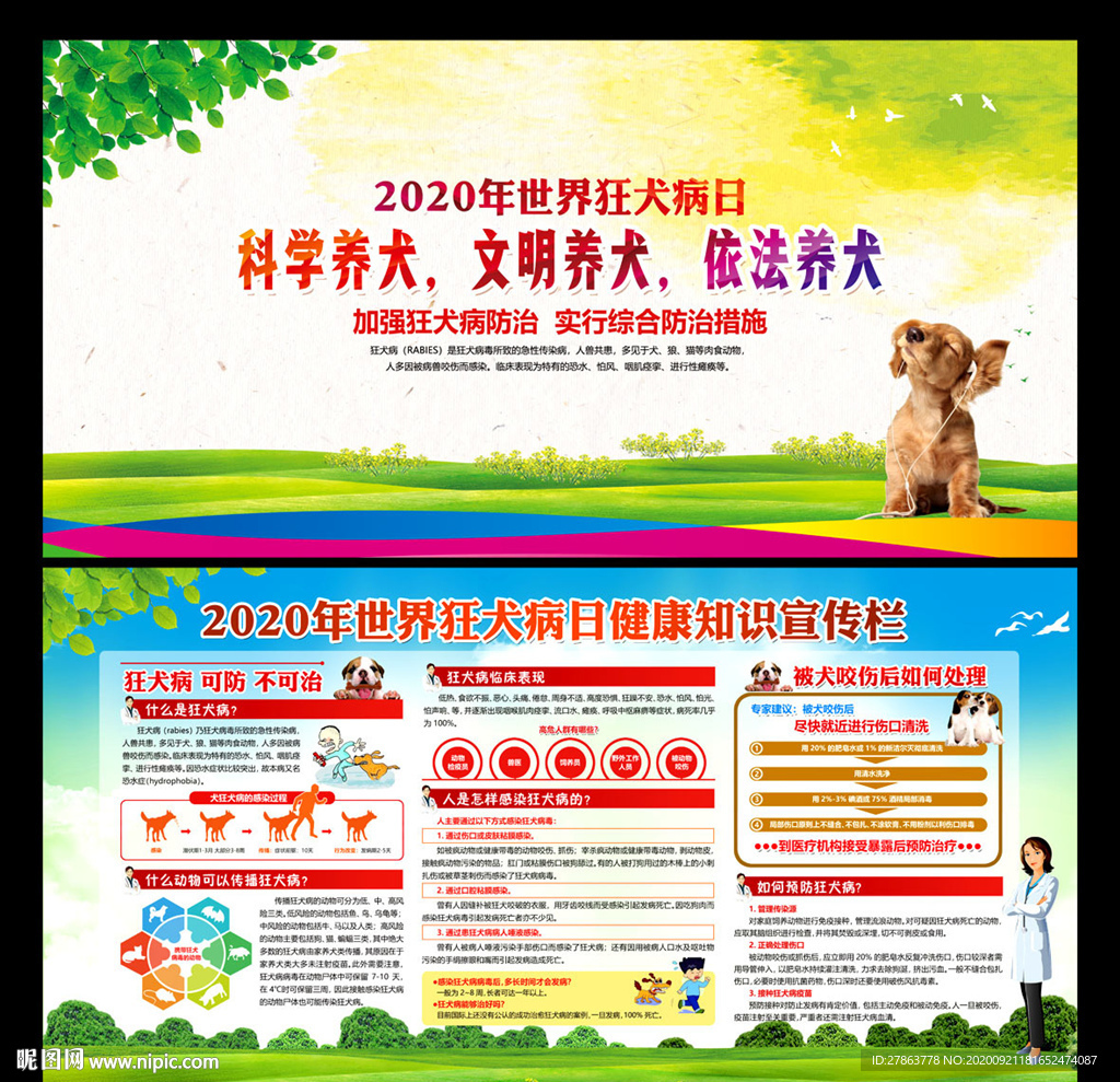 世界狂犬病日宣传栏