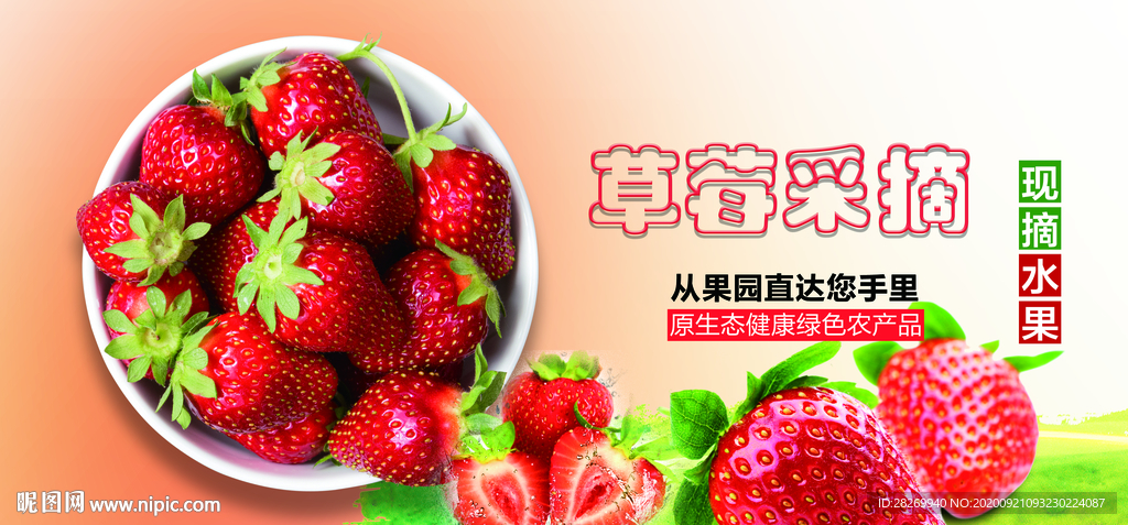 草莓采摘海报