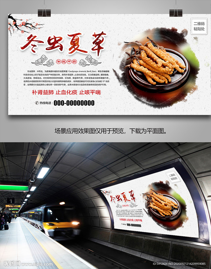 冬虫夏草灯箱海报展板展架挂画