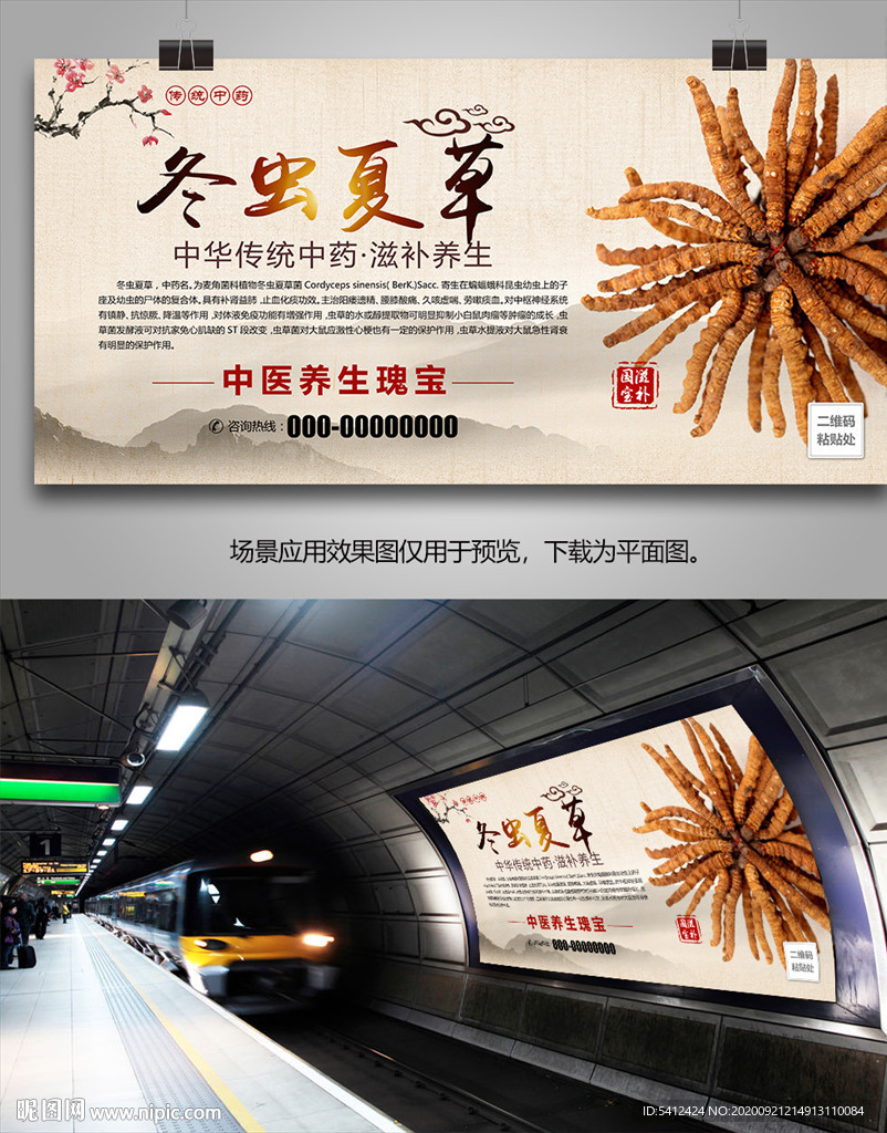 冬虫夏草宣传海报灯箱展板挂画