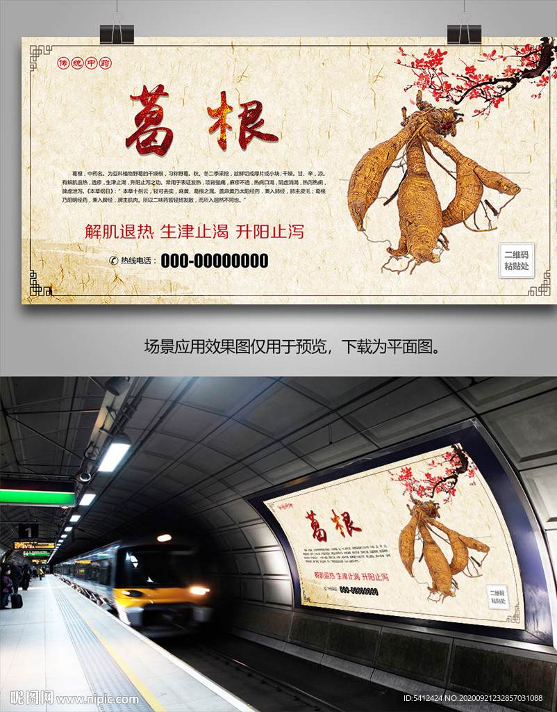 中药材葛根海报灯箱展板展架挂画