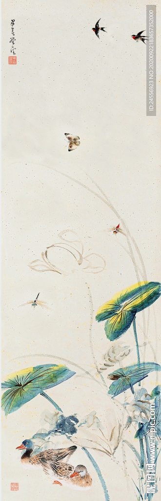 国画花鸟画工笔花鸟画