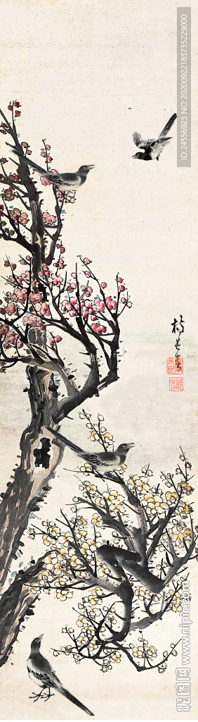 国画花鸟画工笔花鸟画