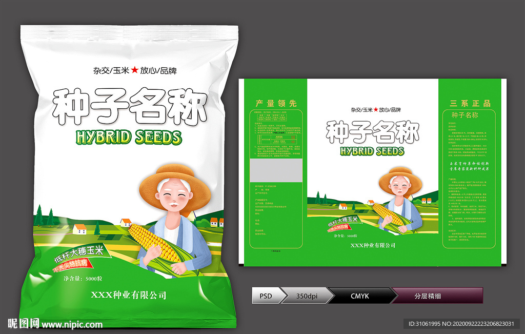 玉米种子(展开图)
