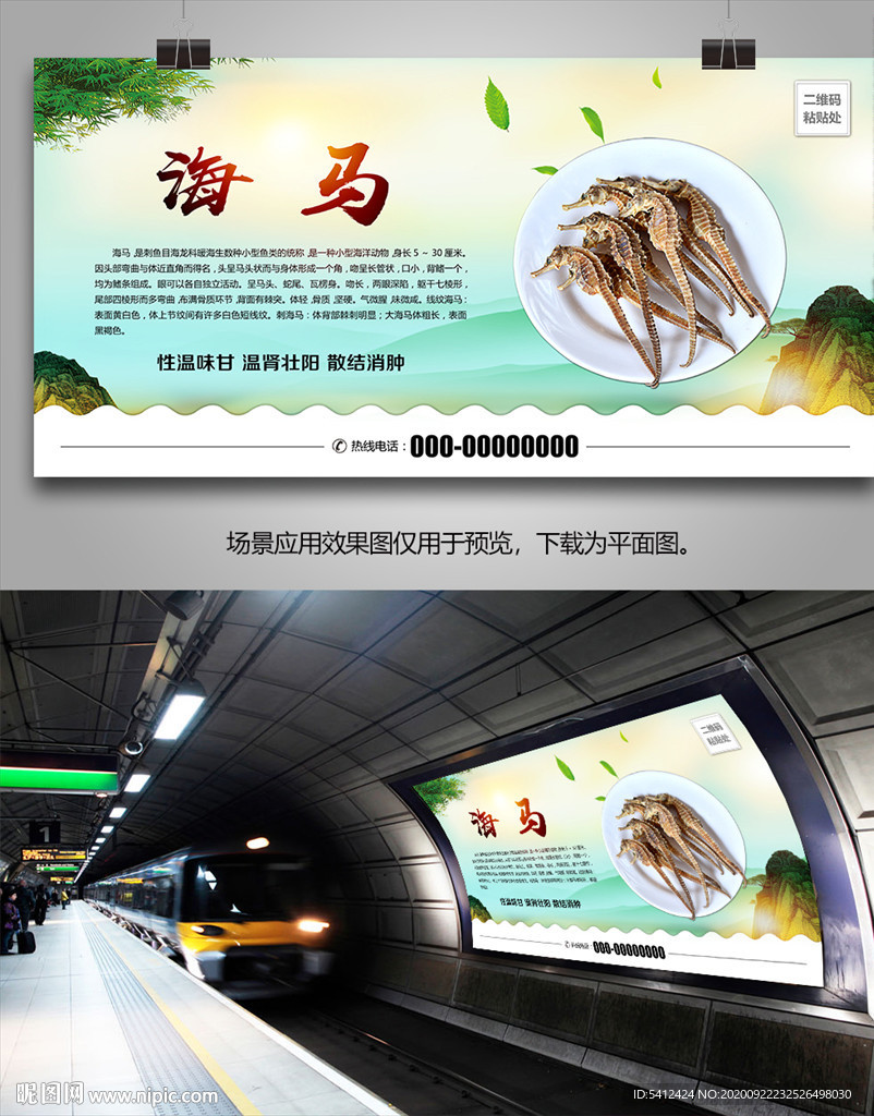 中药材海马海报灯箱展板挂画单页