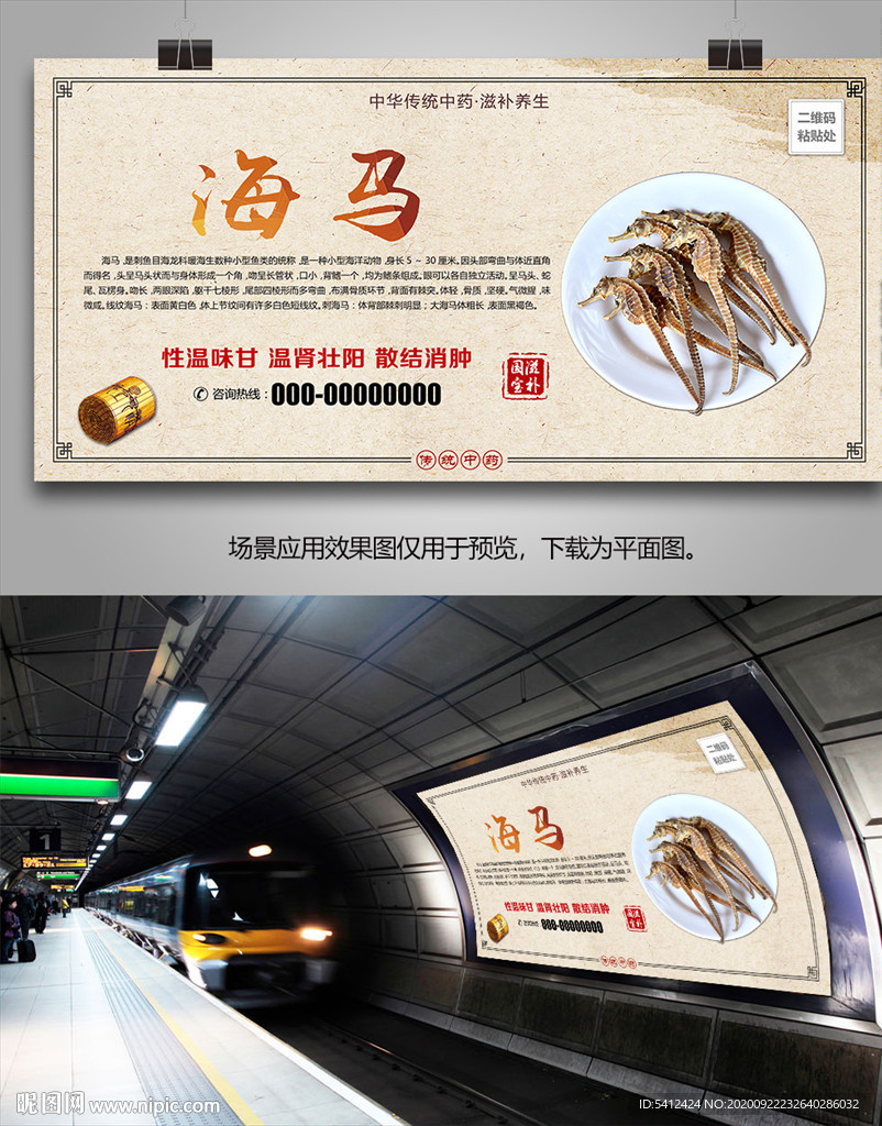 中药材海马海报灯箱展板展架挂画