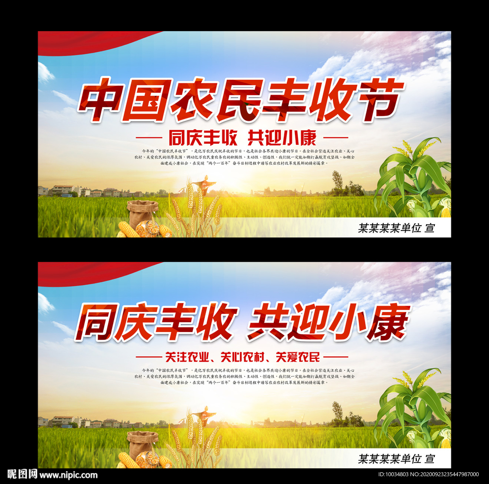 同庆丰收 共迎小康