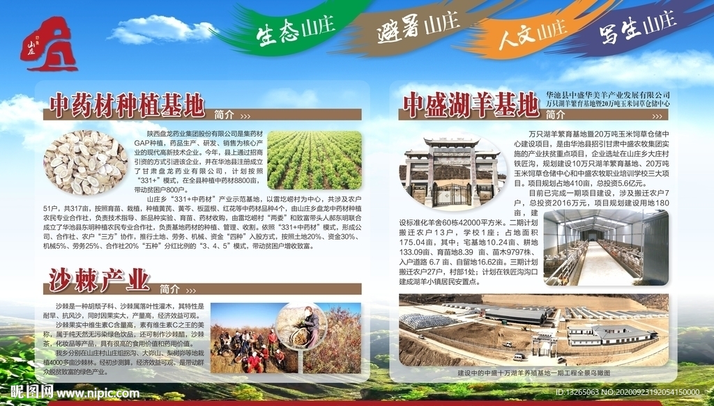 展板 中药材 沙棘 中盛湖羊