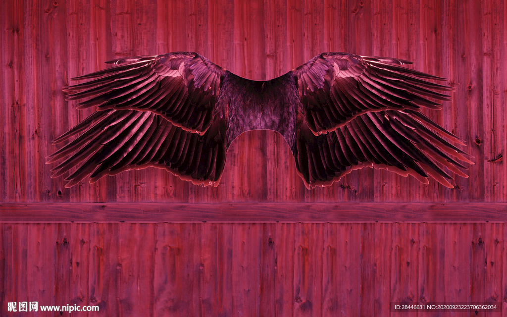 网红拍照背景直播间背景