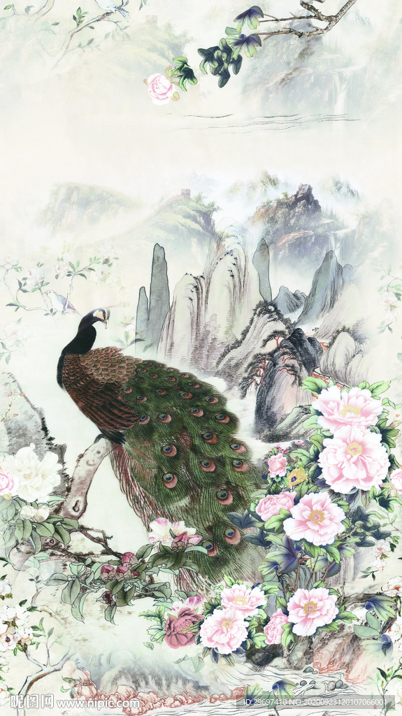 孔雀花朵