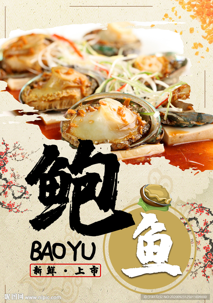 鲍鱼