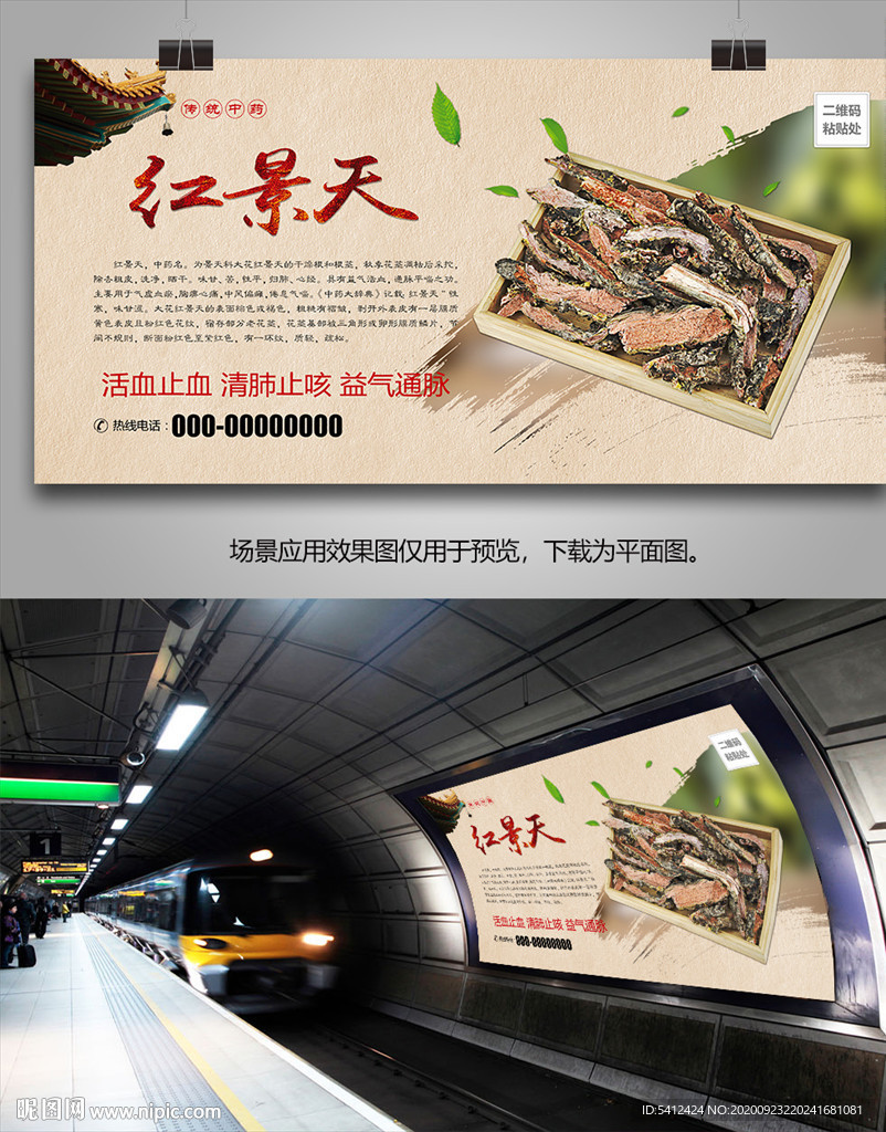 红景天宣传海报灯箱展板挂画单页