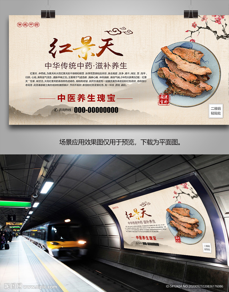中药红景天简介海报灯箱展板展架