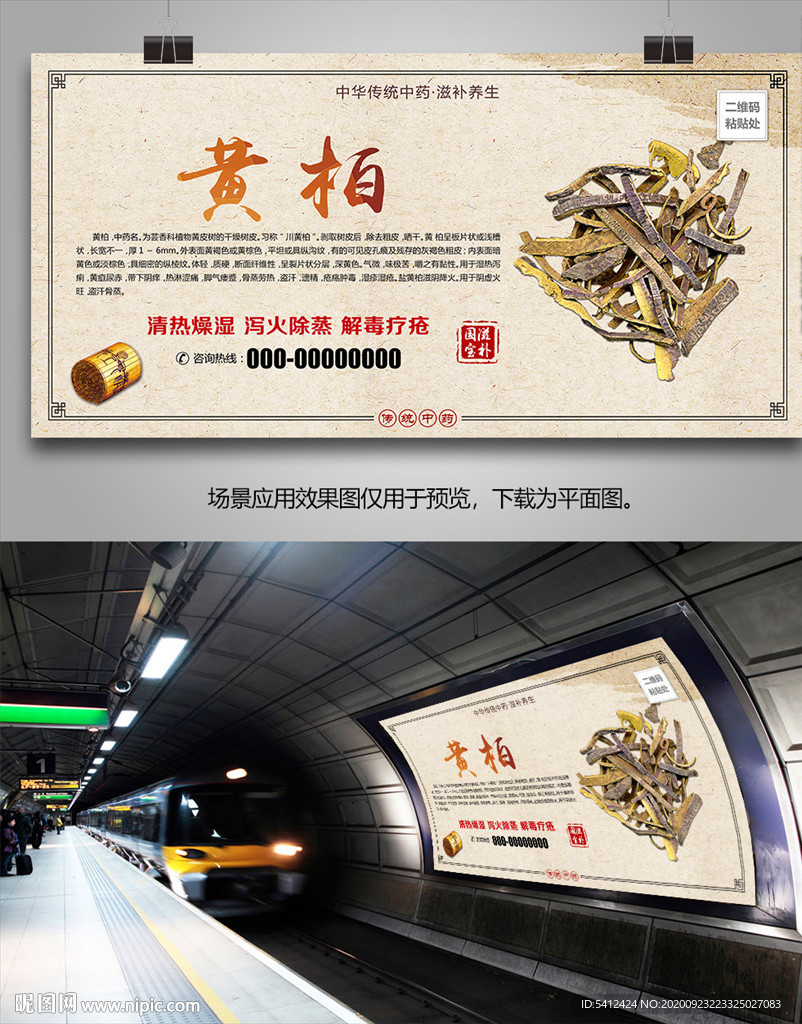 中草药黄柏灯箱海报展板展架挂画