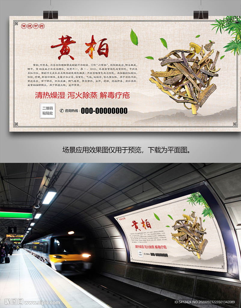 黄柏简介海报灯箱展板挂画单页