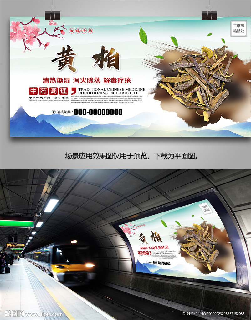 中草药黄柏海报灯箱展板挂画单页
