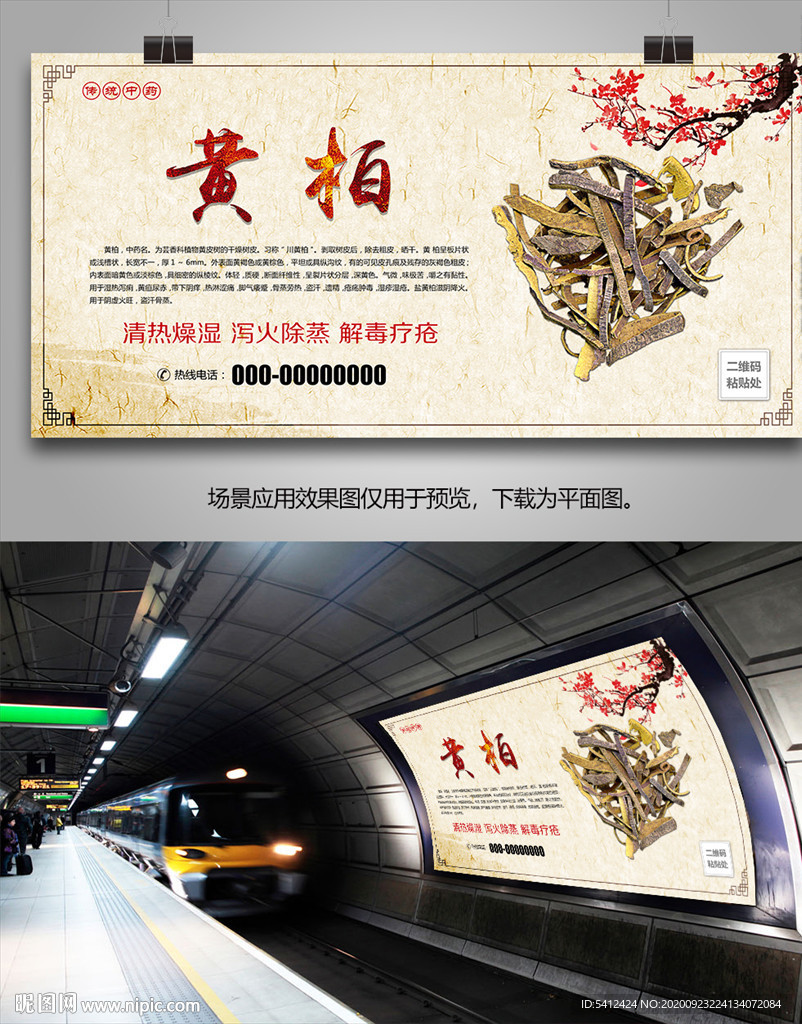 中草药黄柏海报灯箱展板展架挂画