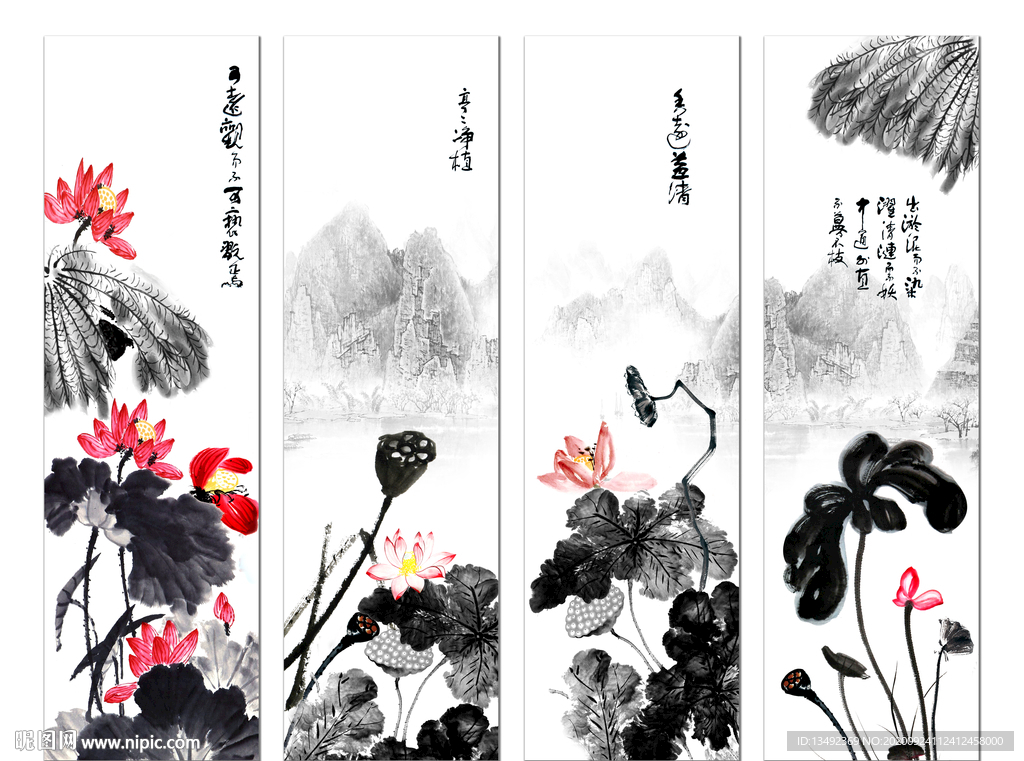 荷花国画
