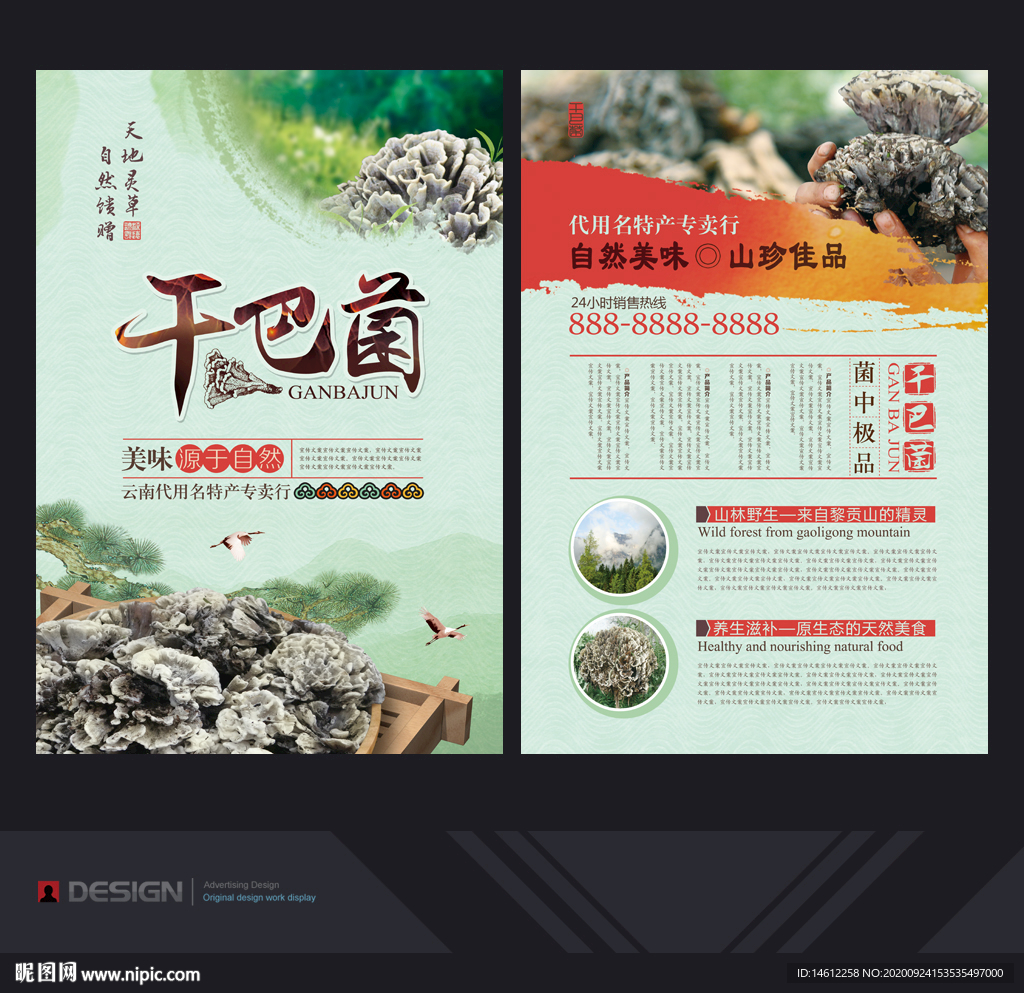 干巴菌
