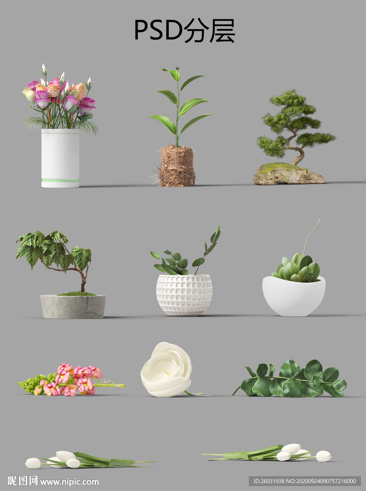 植物花草模型