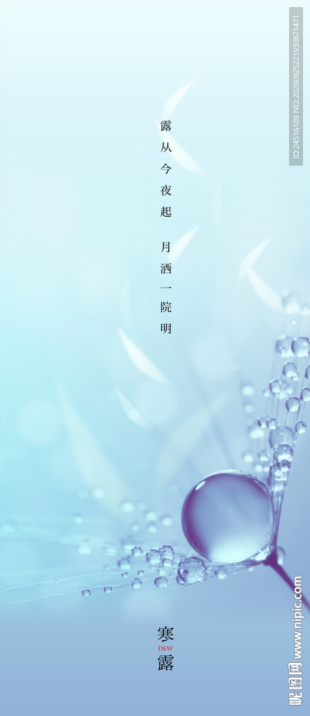 寒露