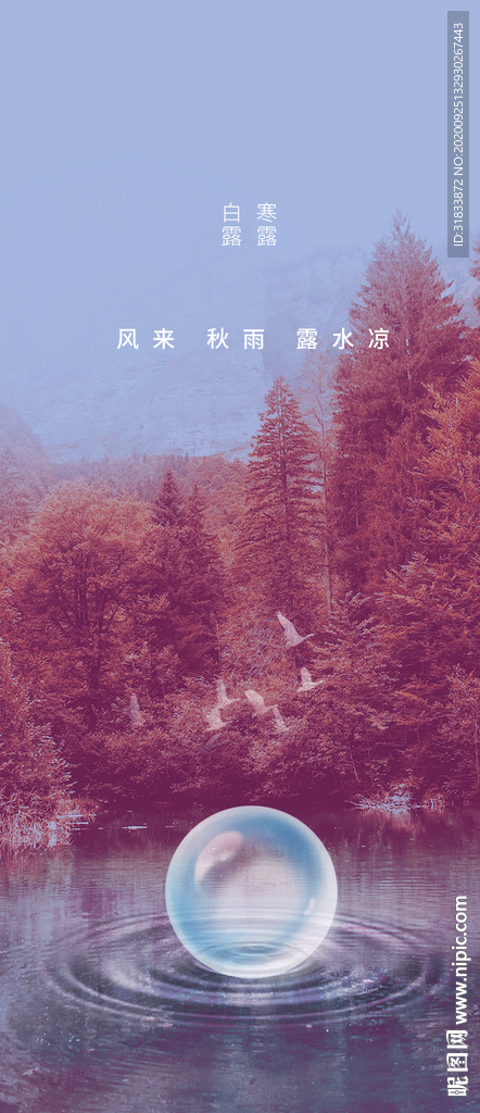 寒露