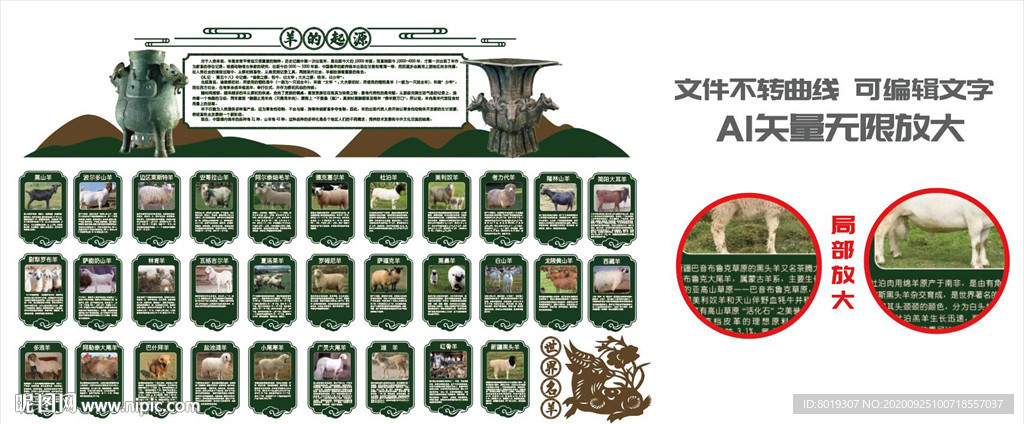 羊品种合集